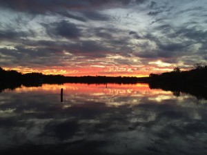 low light shot taken with a iphone 6